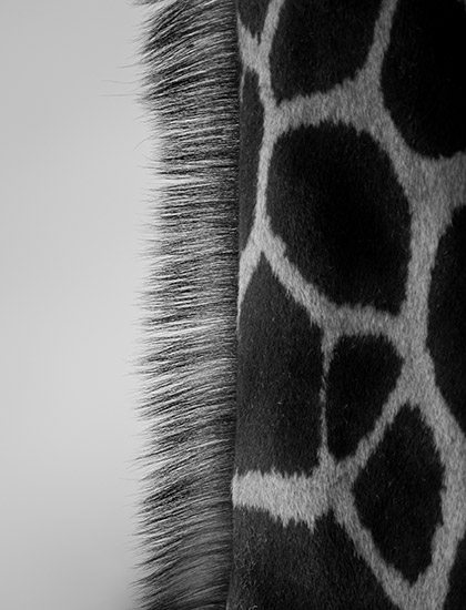 Black and white photograph 1