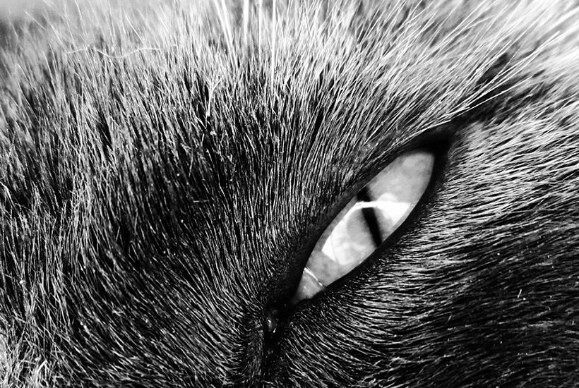 Black and white photograph 2
