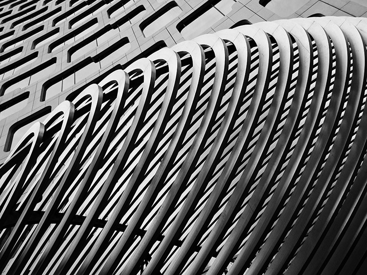 Black and white photograph 4